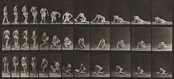 EADWEARD MUYBRIDGE (1830-1904) A selection of 4 plates from Animal Locomotion. 1887.